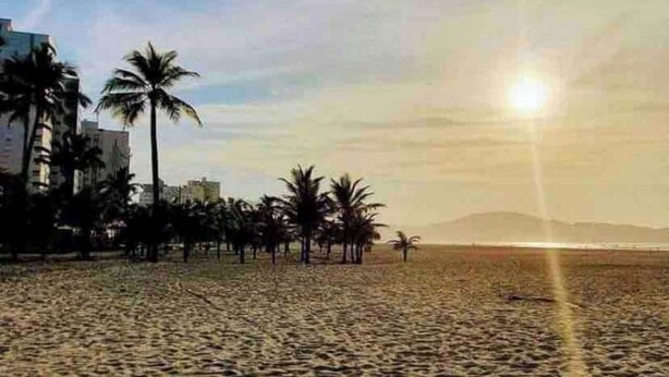 Ein Strand mit Palmen und Gebäuden im Hintergrund.