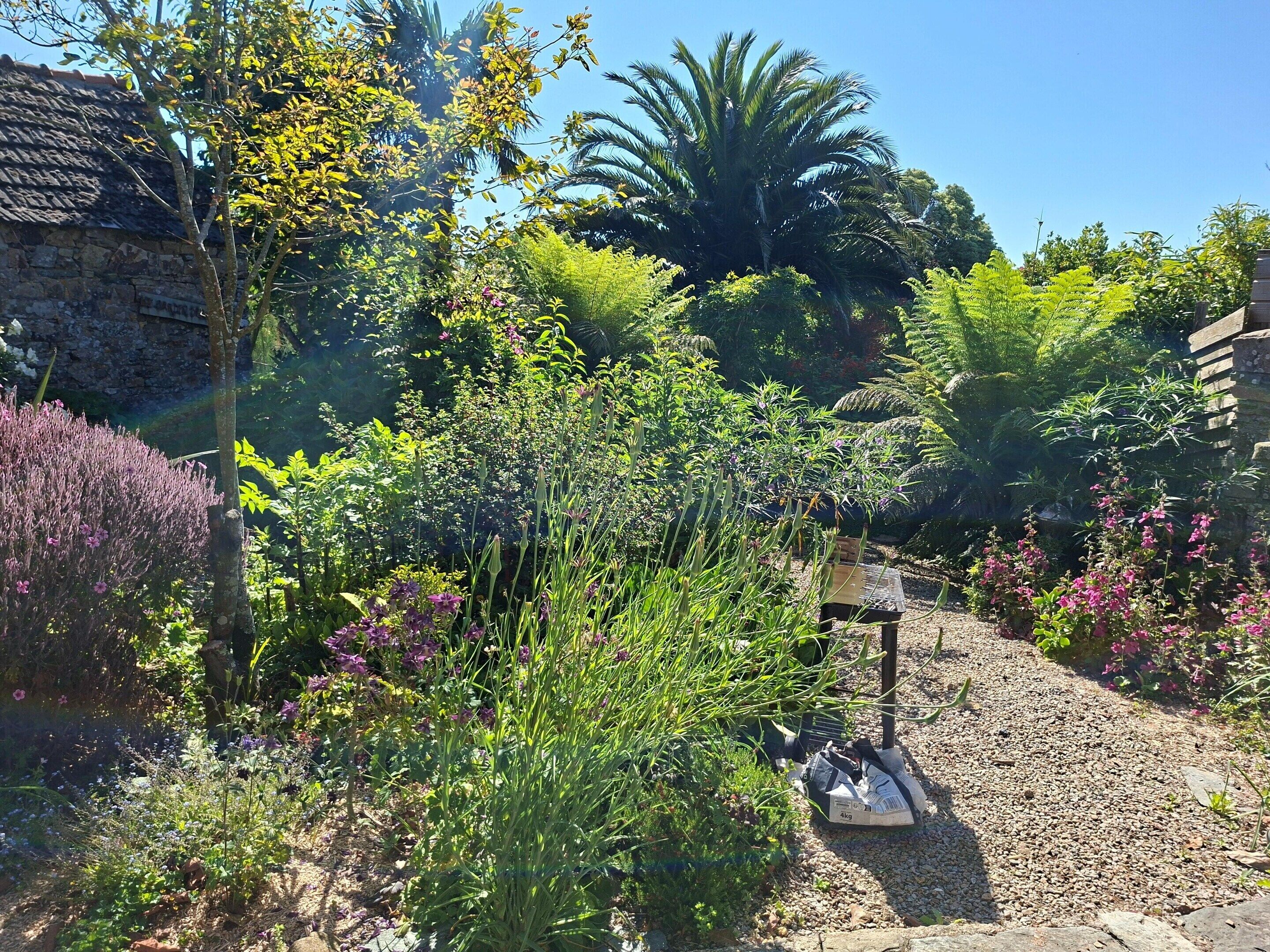 House | Garden