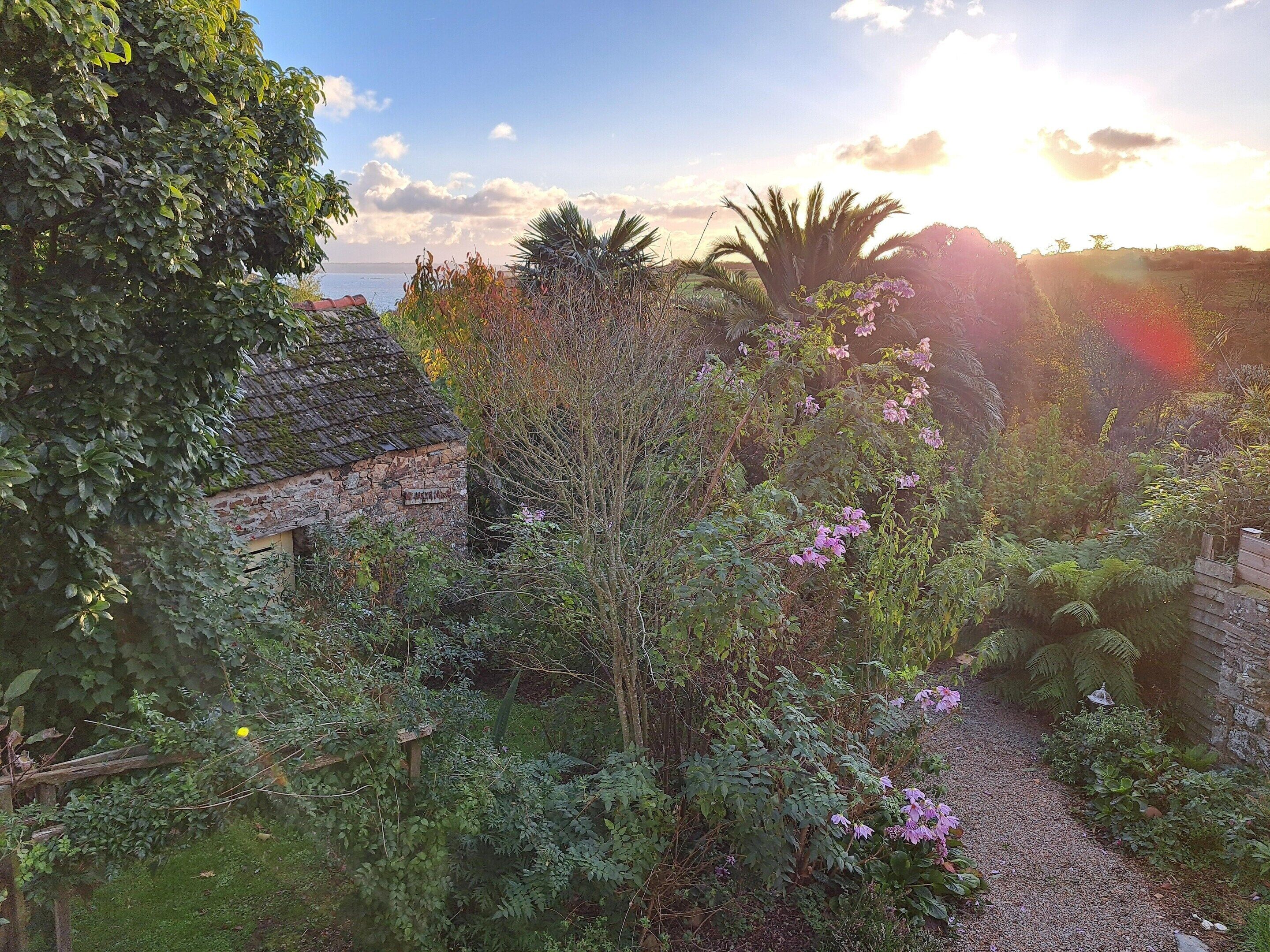 Ferienhaus | Blick von der Unterkunft