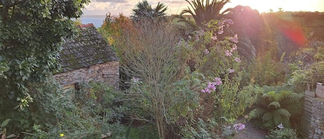 House | View from property