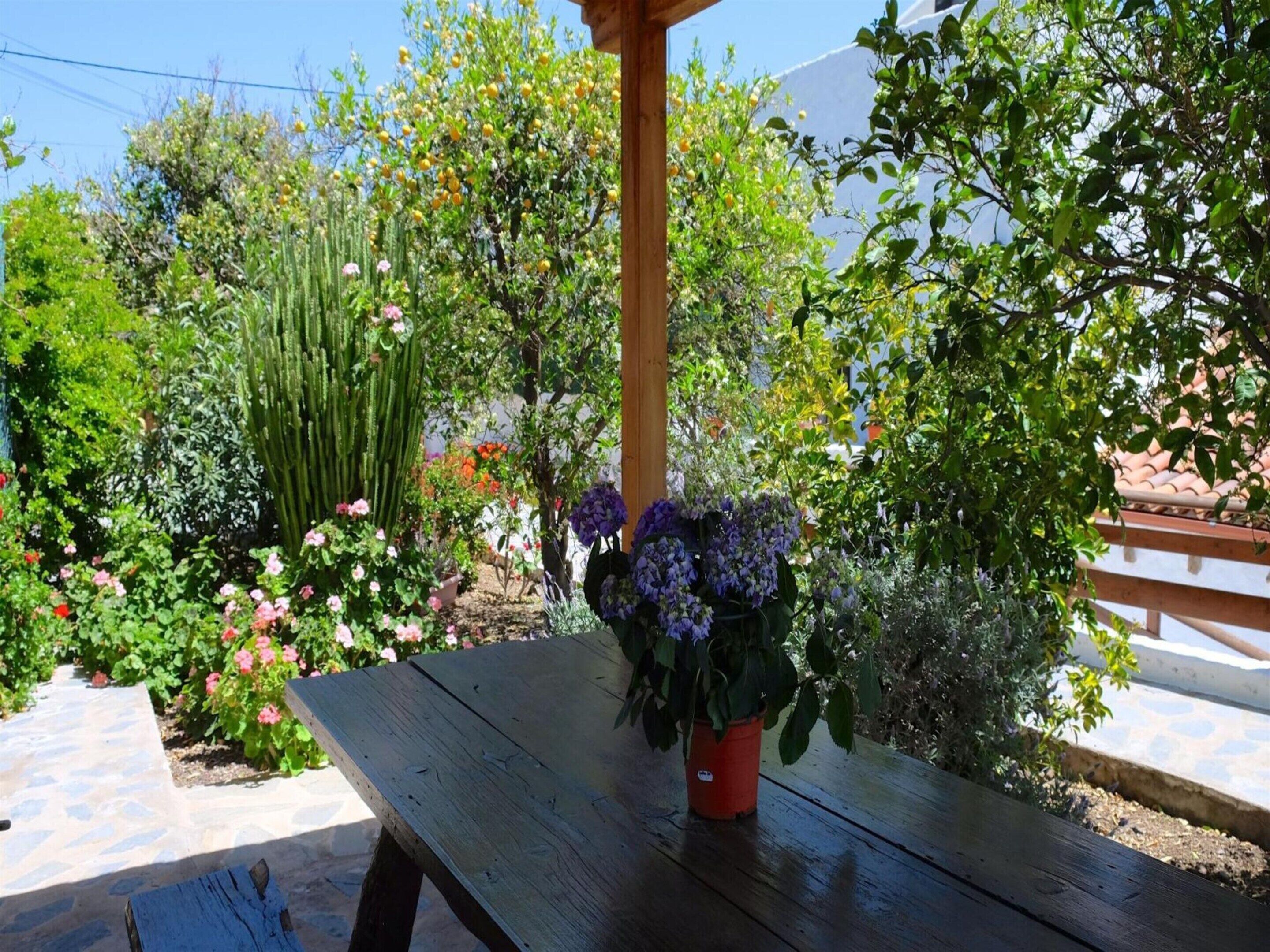 Casa | Jardín