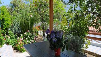 Casa | Jardín