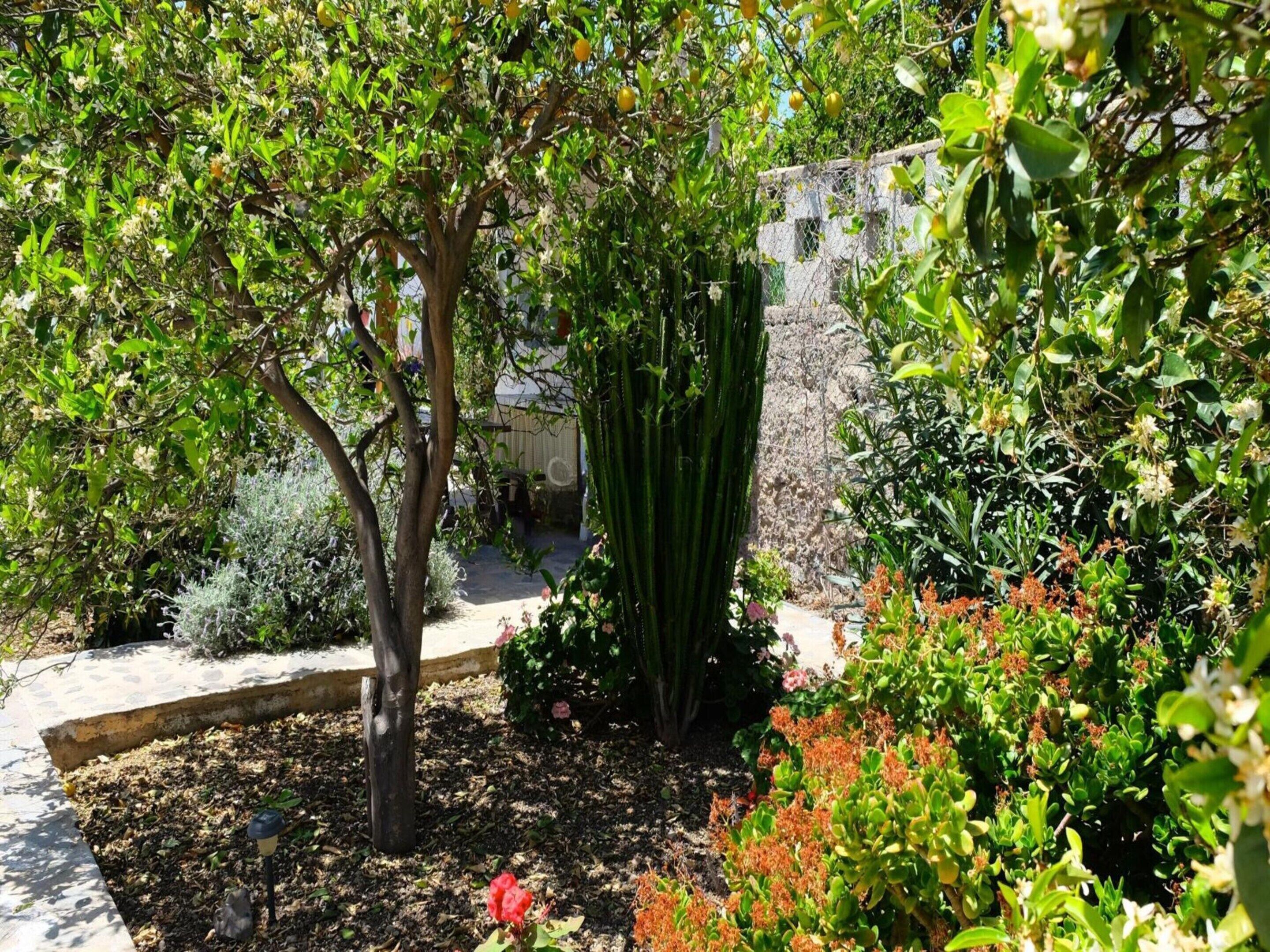 Casa | Jardín