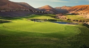 تفاصيل الفندق من الداخل