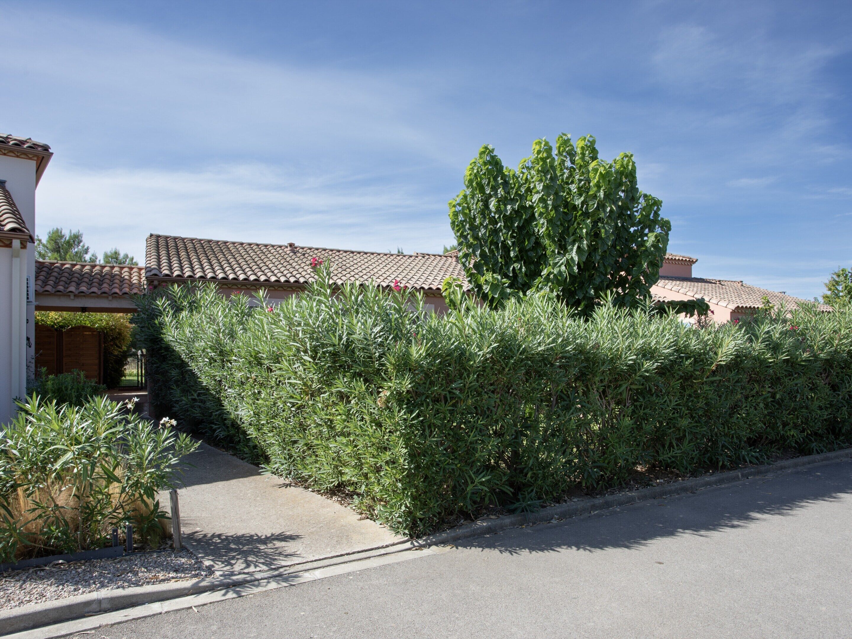 Biệt thự | Quang cảnh nhìn từ nơi lưu trú