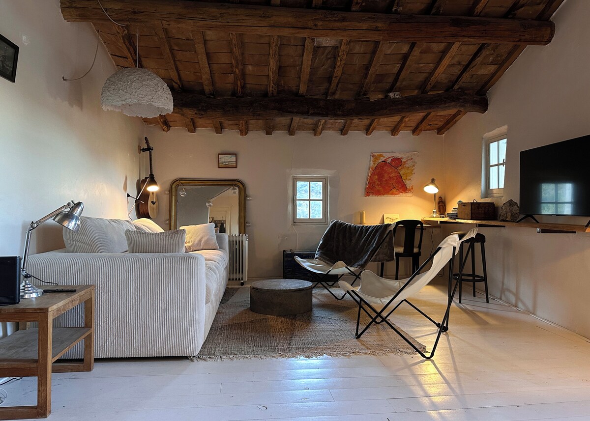 Imagen de perfil del propietario o de la propietaria