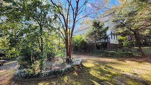 Áreas de la propiedad