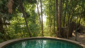 Una piscina circular y cristalina rodeada de abundante follaje y árboles.