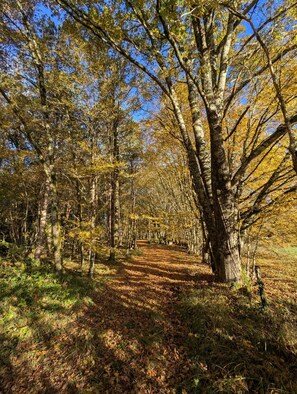 Exterior - Domaine de la Dordrona (Bourdeilles)