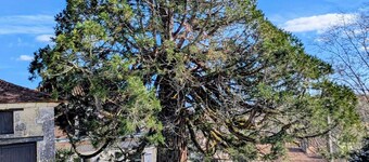 Domaine de la Dordrona