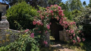 Un jardin agrémenté d’une arche en pierre, d’une végétation luxuriante et d’arbustes en fleurs.