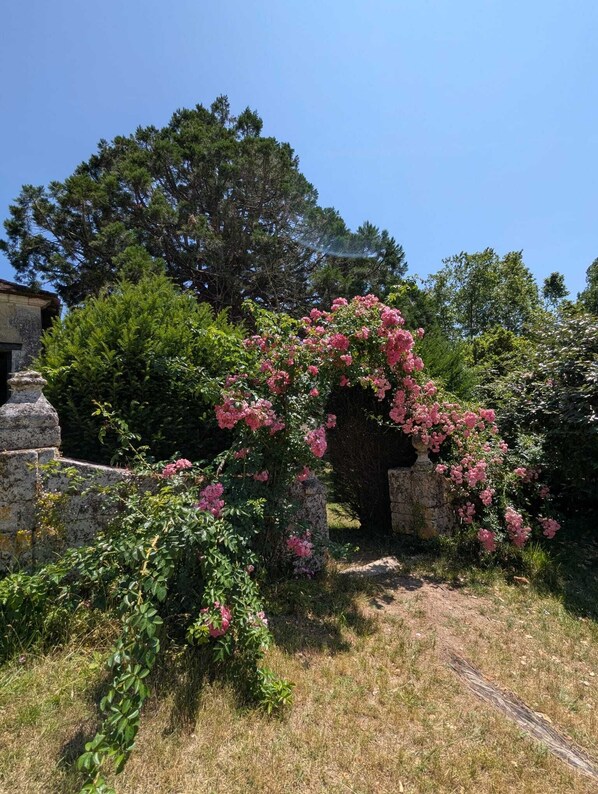 Exterior - Domaine de la Dordrona (Bourdeilles)