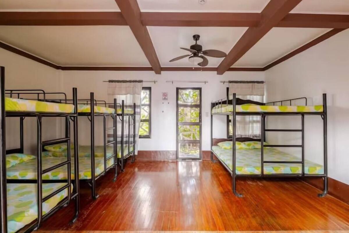 Une chambre de dortoir avec des lits superposés, un plancher en bois, un ventilateur de plafond et des fenêtres avec des rideaux.
