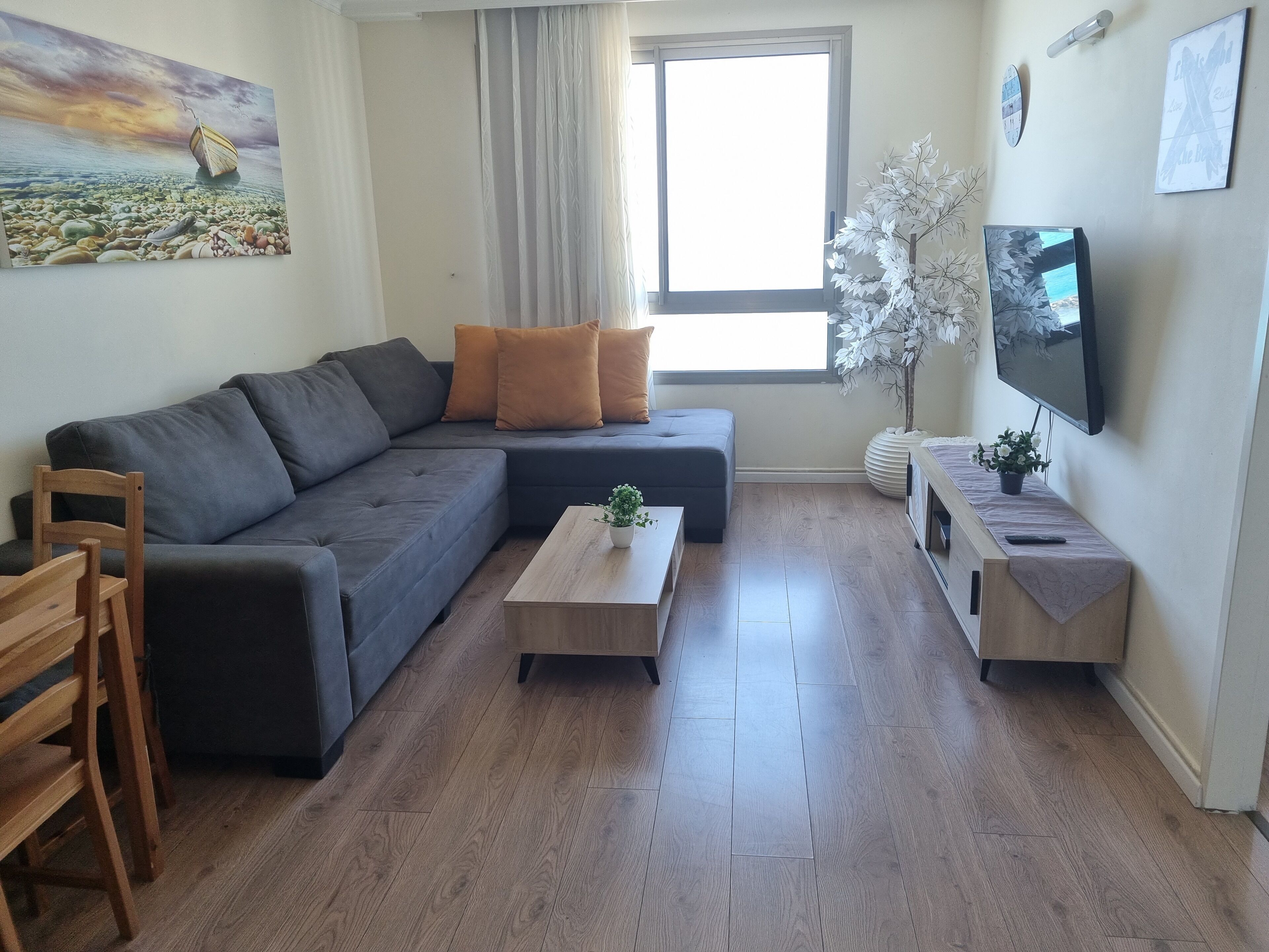A modern living room with a grey sectional sofa, a wooden coffee table, a TV on a stand, and a window with curtains.
