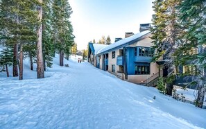 Una strada coperta di neve fiancheggiata da alti alberi sempreverdi e moderni edifici con balconi.