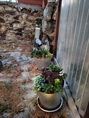 Détail de l’extérieur