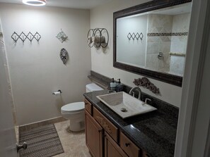 Shower, towels, soap, toilet paper - Beautiful One room condo with AC in charming Innisbrook Resort (Palm Harbor)