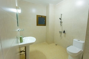 Shower, towels, toilet paper
