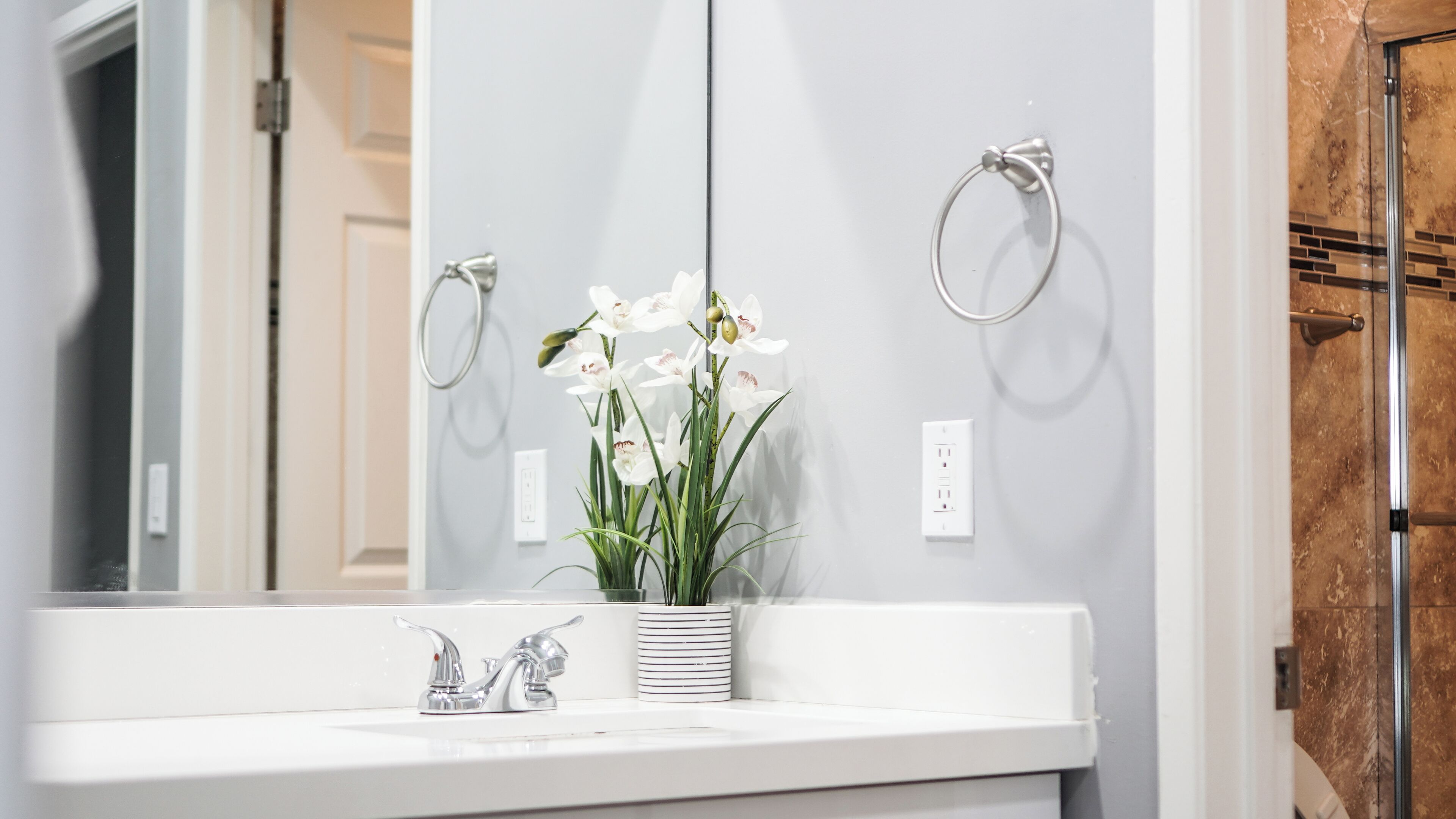 A bathroom with a white sink, a mirror, and a potted orchid plant.