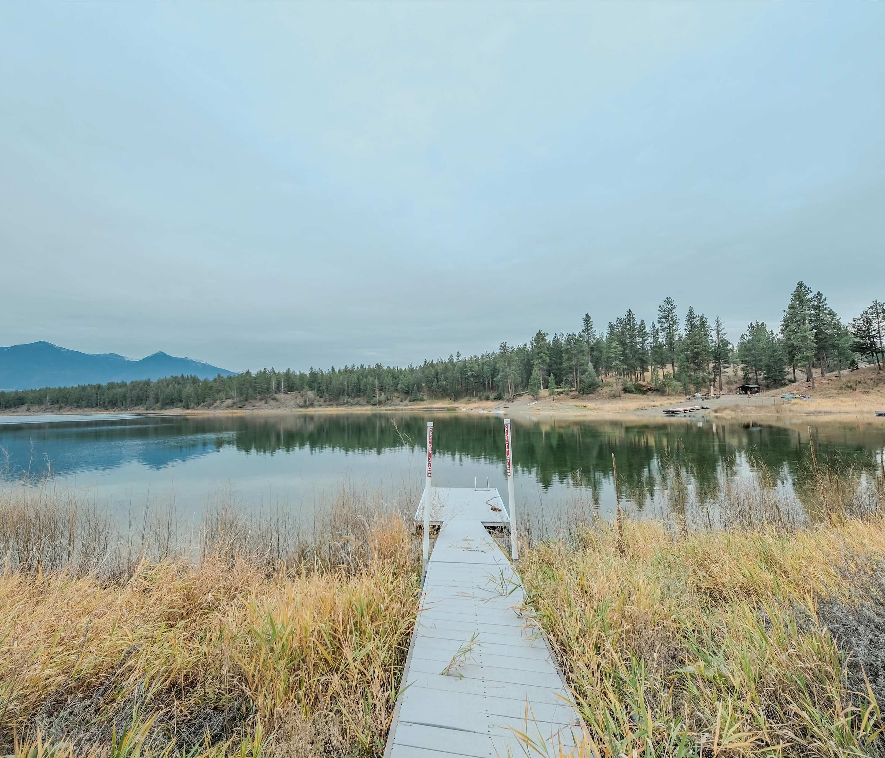 A wooden dock extending into a calm lake surrounded by dry grass and pine trees.