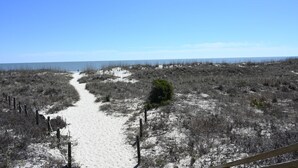 Ein Sandweg am Strand führt zum Meer, umgeben von spärlicher Vegetation und blauem Himmel.