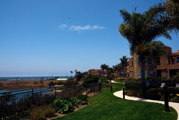 Una zona residencial costera con un sendero, palmeras y vista al océano.