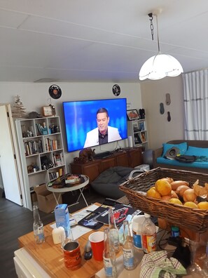 TV connectée, lecteur de DVD, livres