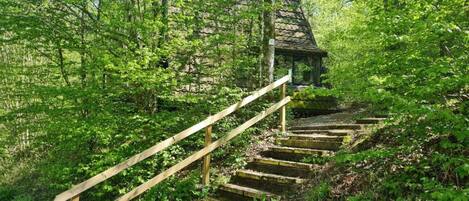 Chalet | Uitzicht vanuit accommodatie