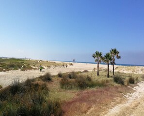 Villa | View from property - Welcoming Villa With Private Pool (Conil de la Frontera)