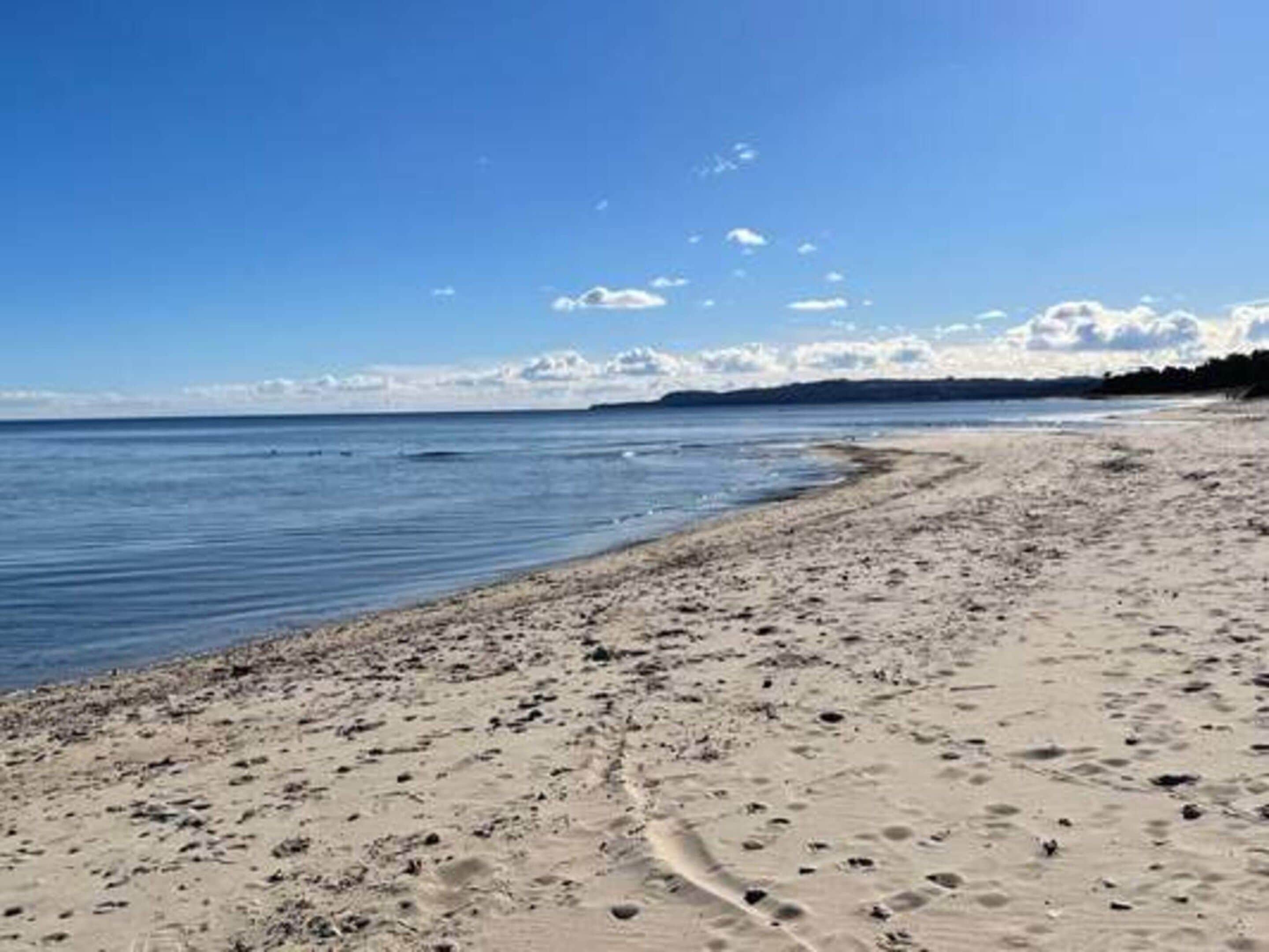 A sandy beach with footprints leading to the water, a clear sky, and a distant shoreline.