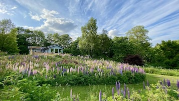 A house surrounded by a lush garden with various plants and flowers.