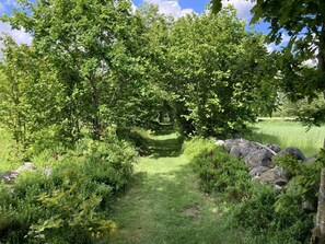 A natural landscape with a grassy path, dense foliage, and scattered rocks. - 4 Star Holiday Home in Brosarp (Brosarp)
