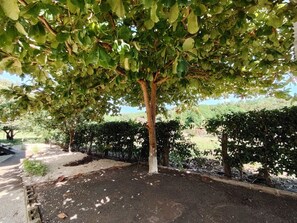 Property grounds - Studio/Pool/WIFI-Full kitchen-A/C-Large Beach-Sunset-Surf***. (Playa Grande)