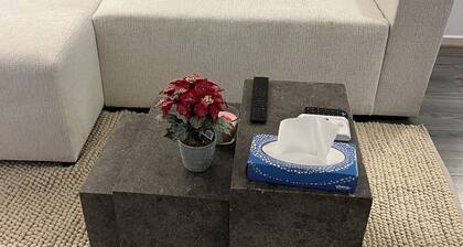 . Beautiful 2-room apartment on the outskirts of Paris - near Stade de France