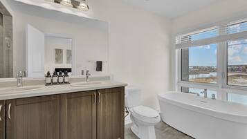 Hair dryer, towels, soap, toilet paper