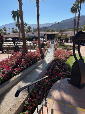 Property grounds - 3 Bedroom house-pool & hot tub. Close to Empire Polo Fields,P-ball, golf,biking. (Coachella)