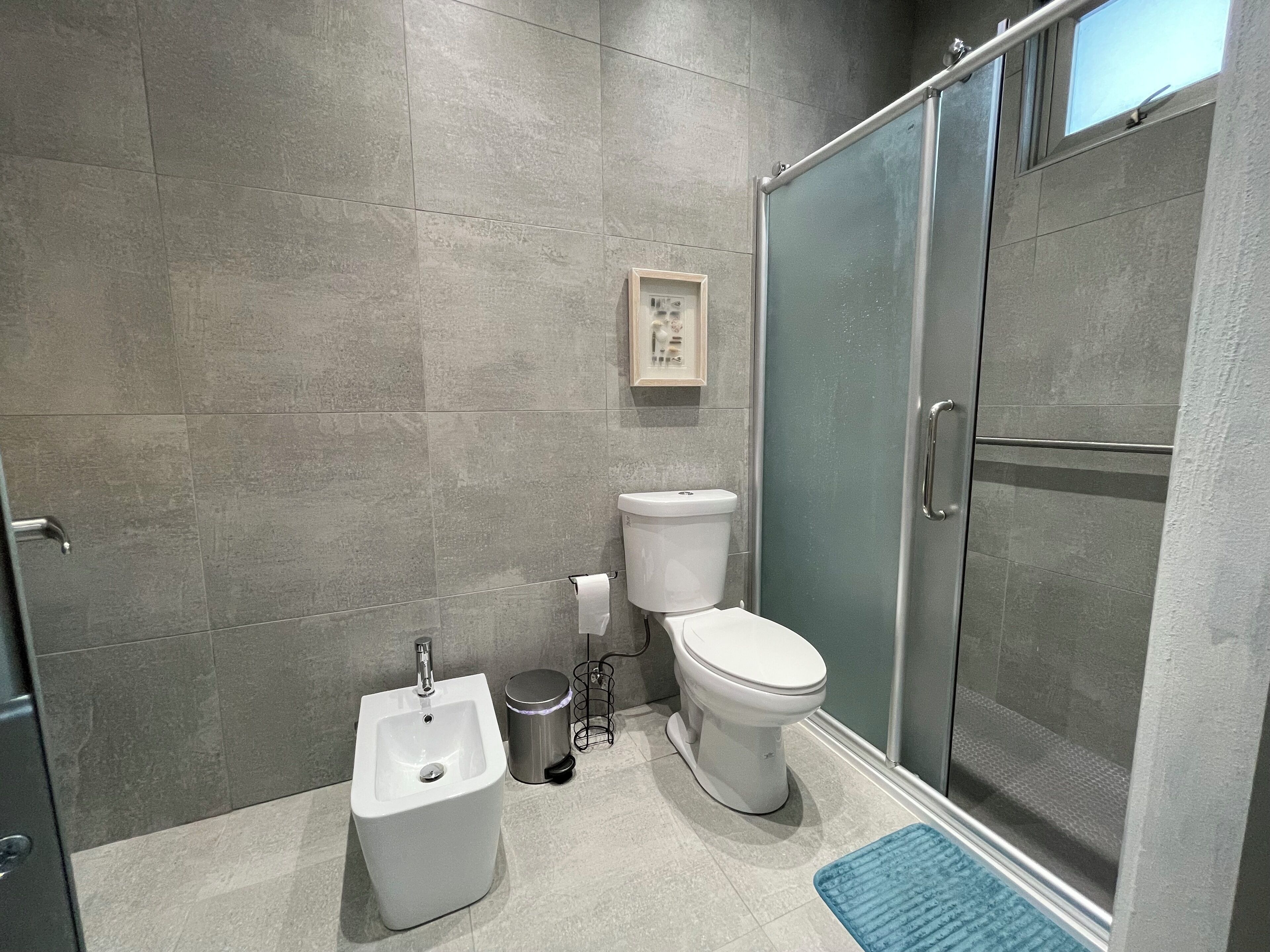 Shower, hair dryer, bidet, towels