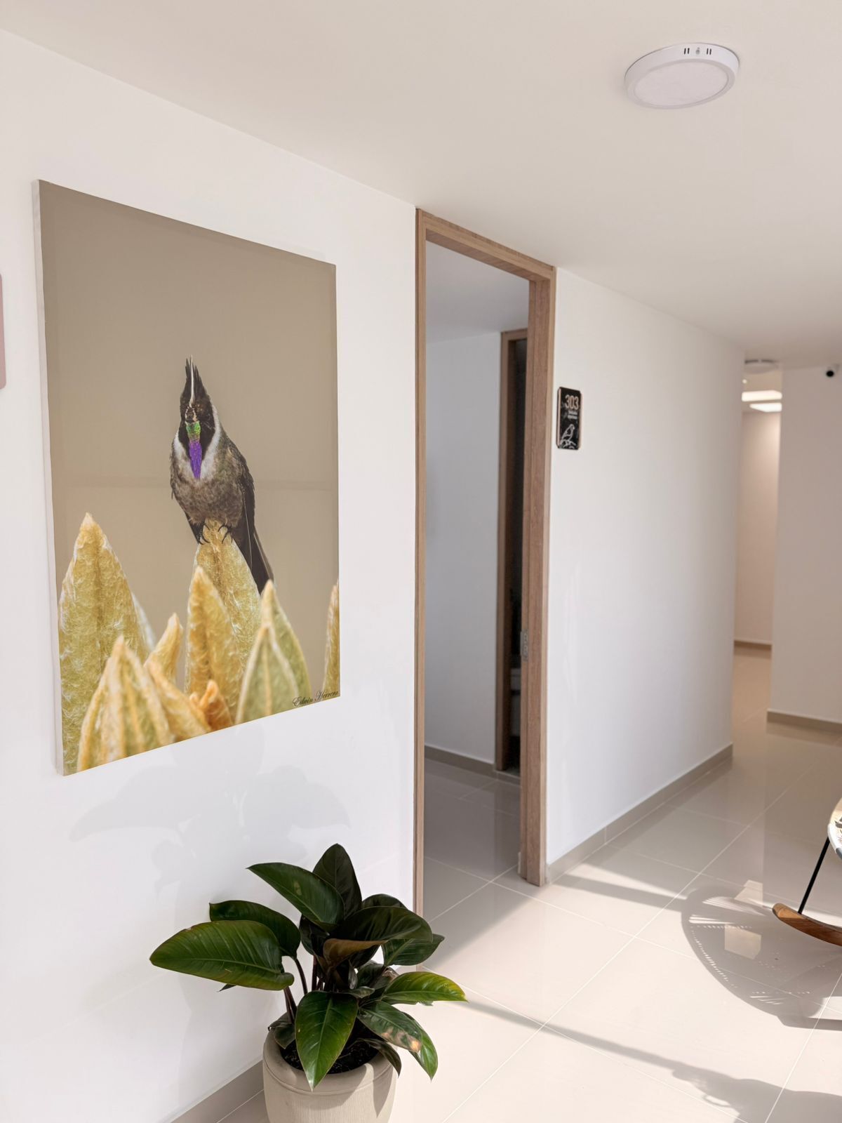 Khăn tắm, xà phòng, dầu gội, giấy vệ sinh 