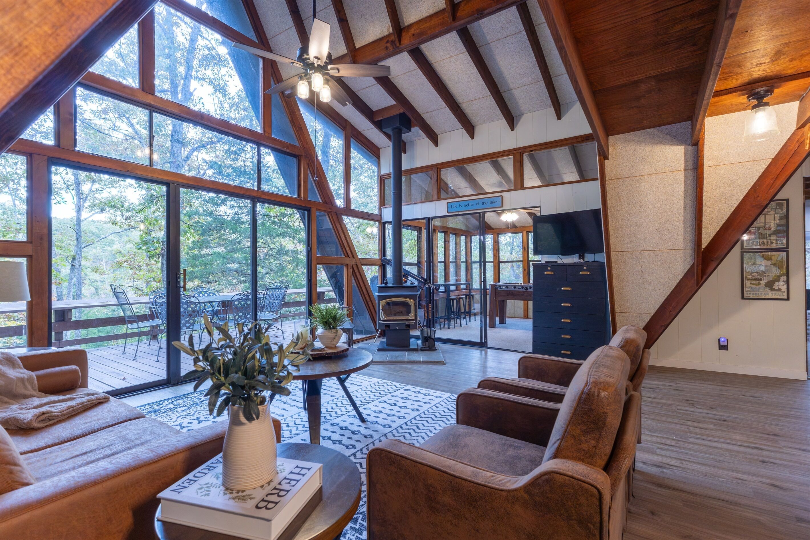 Smart TV, chimenea, reproductor de DVD y libros 