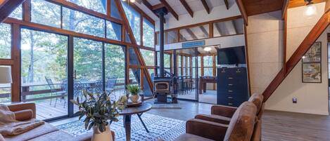 TV connectée, cheminée, lecteur de DVD, livres