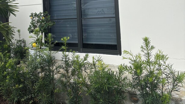 Ein Gebäude mit einem Fenster und der Hausnummer 1338 an der Wand.