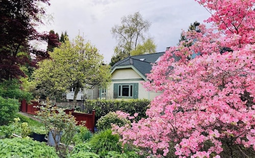 Cozy 3 bedroom suite in heart Kitsilano, close to kits beach & downtown