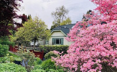 Cozy 3 bedroom suite in heart Kitsilano, close to kits beach & downtown