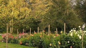 Un giardino con diverse piante e fiori, una recinzione in legno e alberi.