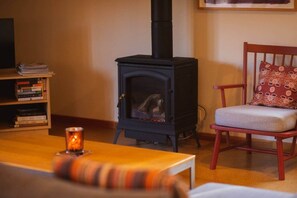 Televisión y chimenea 