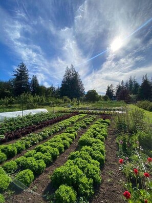 Overnattingsstedets uteområder