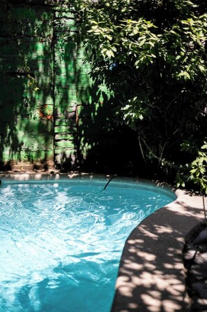 Une piscine entourée d’une végétation luxuriante et d’un mur de pierre.