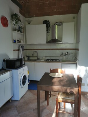 Fridge, microwave, stovetop, coffee/tea maker - COURTESY124 Family apartment within walking distance of the center (Pisa)