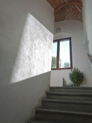 Interior - COURTESY124 Family apartment within walking distance of the center (Pisa)