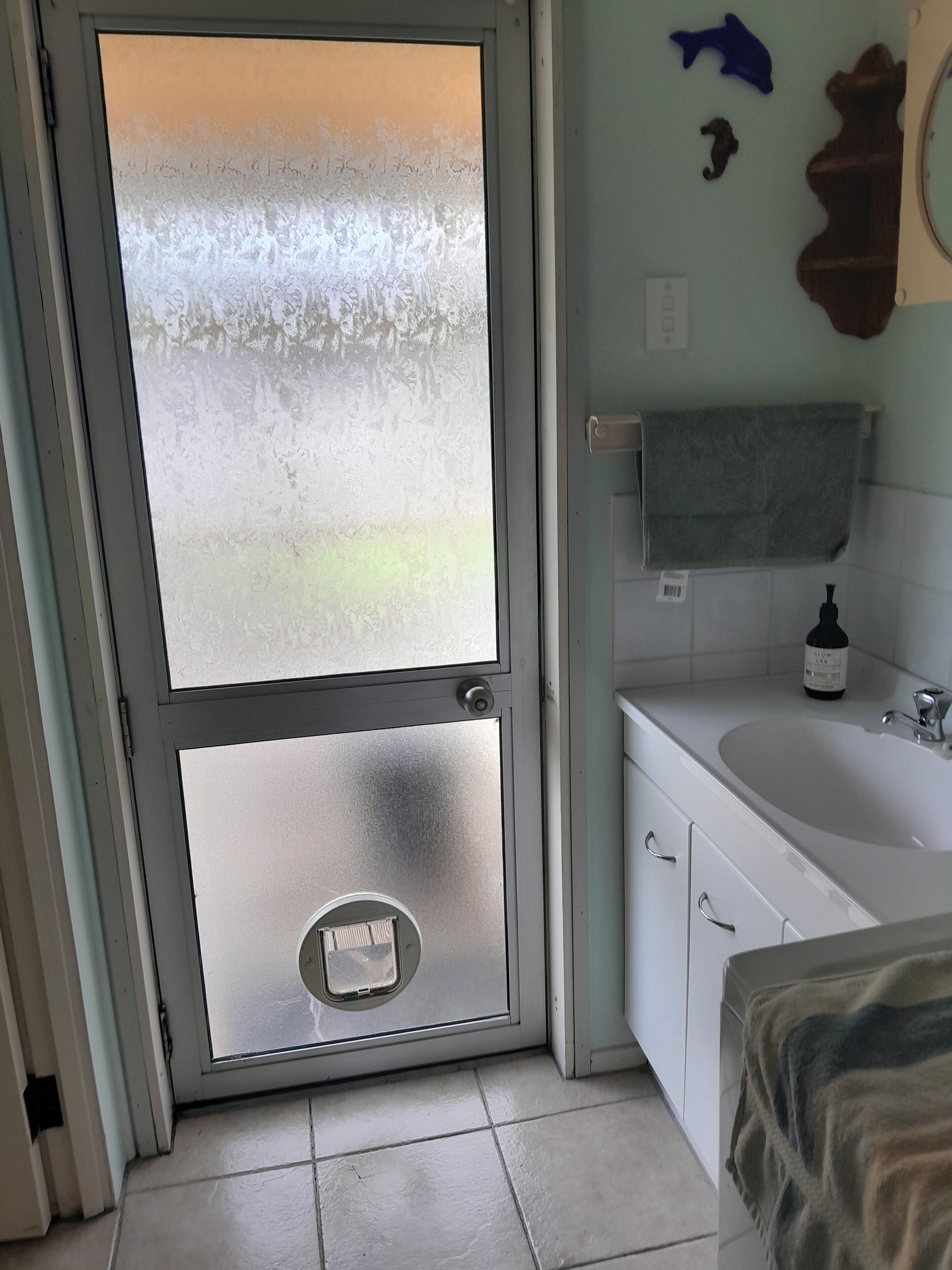 Shower, towels, soap, toilet paper